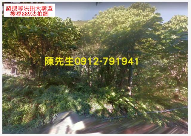 花蓮秀林建地_山坡地法拍-10