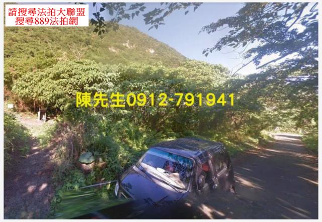 花蓮秀林建地_山坡地法拍-11
