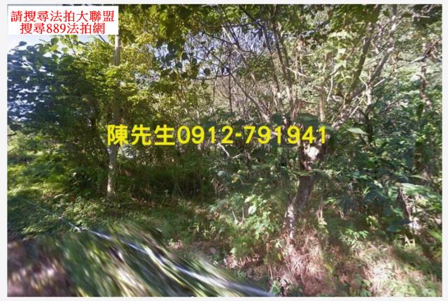 花蓮秀林建地_山坡地法拍-12