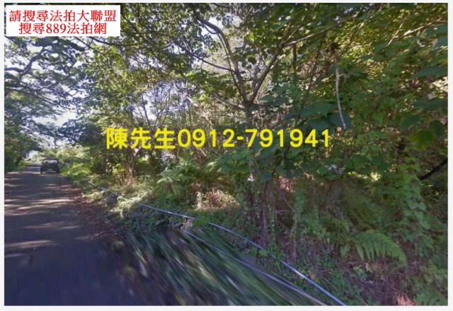花蓮秀林建地_山坡地法拍-4