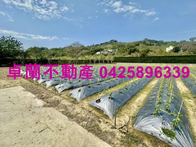 苗栗卓蘭農地_山坡地_休閒地-2