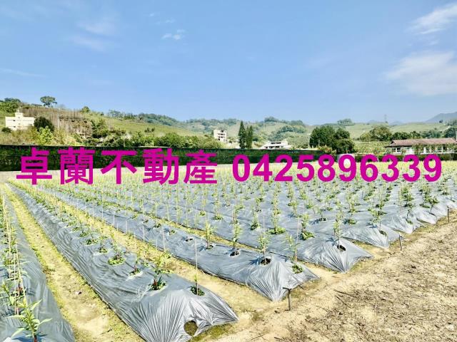 苗栗卓蘭農地_山坡地_休閒地-4