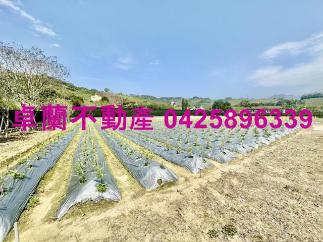 苗栗卓蘭農地_山坡地_休閒地-5