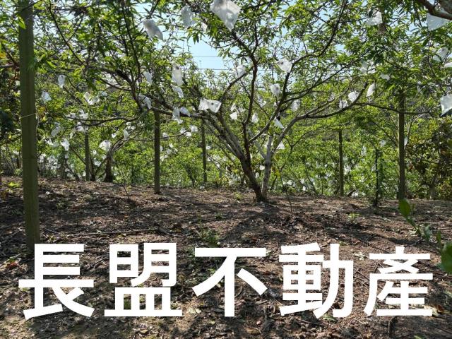 台中東勢休閒地-9