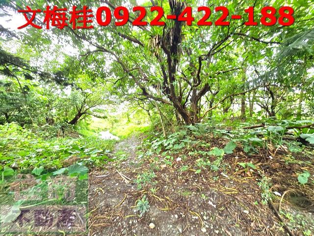 宜蘭頭城建地-3