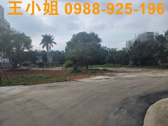 桃園龍潭建地-1