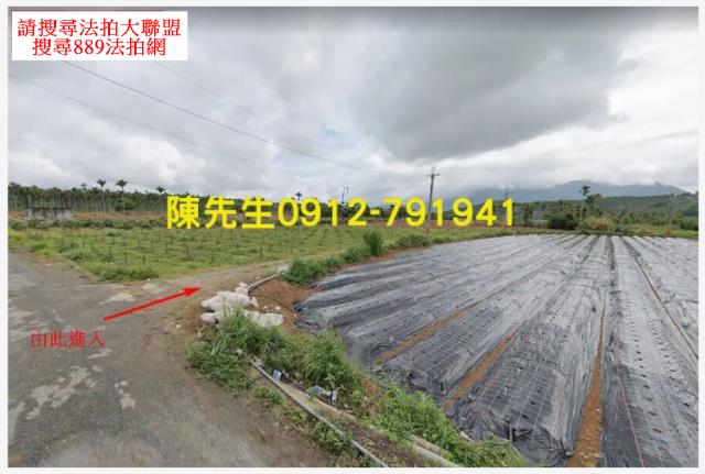 台東卑南農地法拍-10