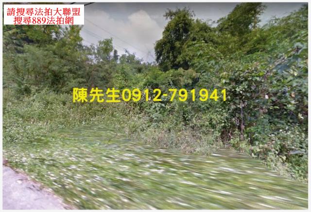 台南龍崎農地_山坡地法拍-13