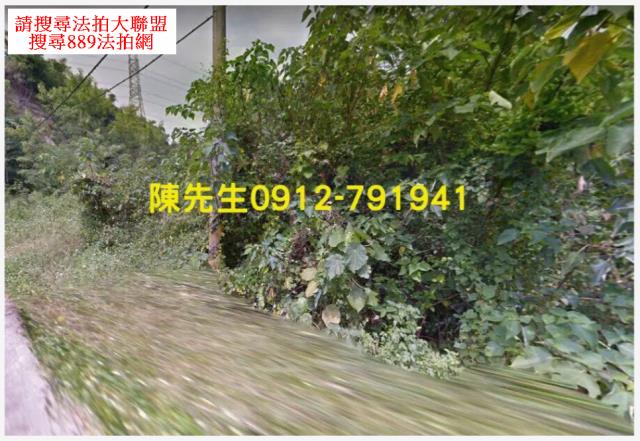 台南龍崎農地_山坡地法拍-3