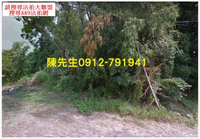 台南龍崎農地_山坡地法拍-6