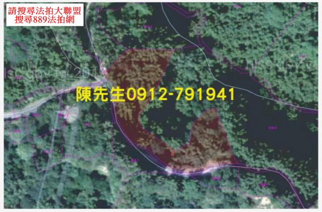 台南龍崎農地_山坡地法拍-9