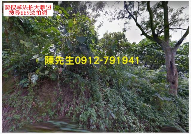 台南龍崎農地法拍-2