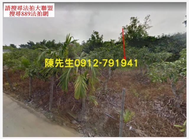 台南大內拍賣農地_山坡地-10