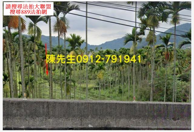 和平農地法拍-9