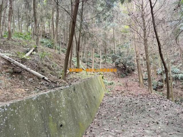 中寮農地_山坡地-10