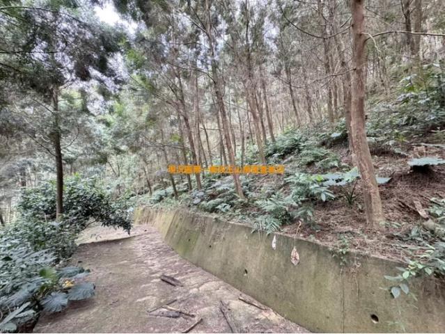 中寮農地_山坡地-12