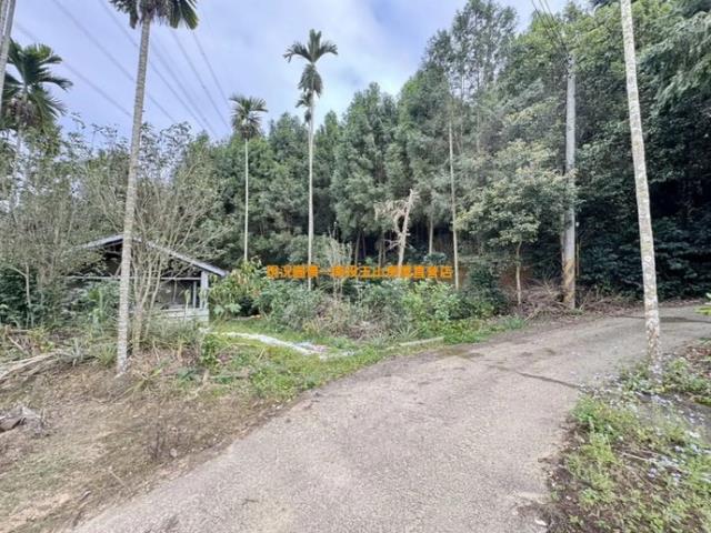 中寮農地_山坡地-1