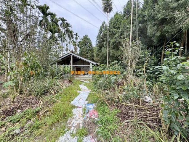 中寮農地_山坡地-2