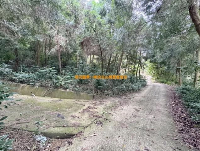 中寮農地_山坡地-4
