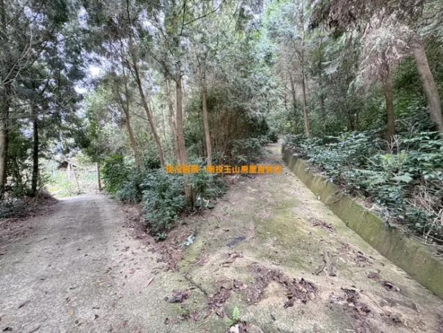 中寮農地_山坡地-6