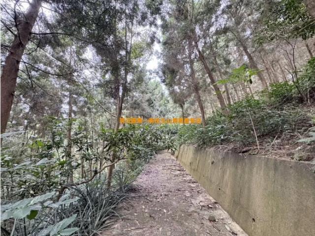 中寮農地_山坡地-8
