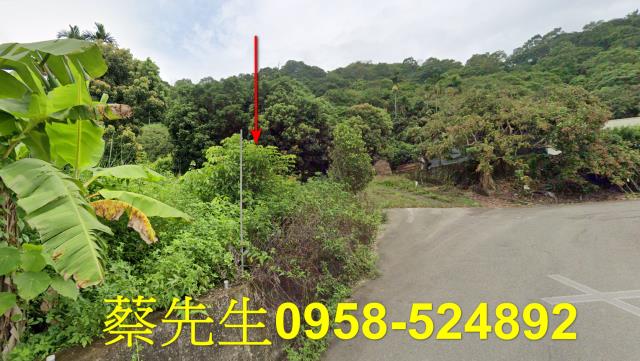 台中法拍農地-12