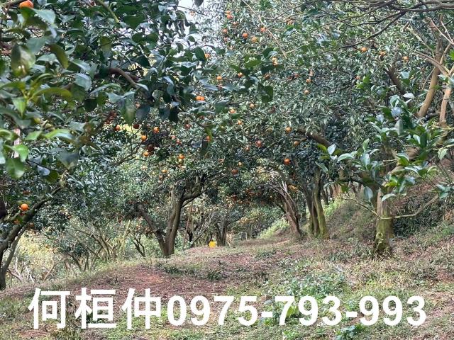苗栗農地_建地_農地加建地-9