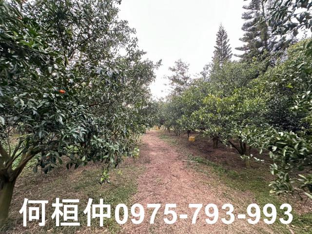 苗栗農地_建地_農地加建地-10