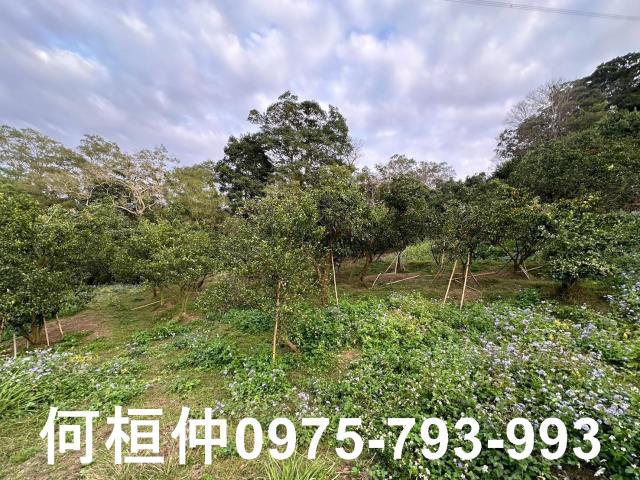 苗栗農地_建地_農地加建地-11