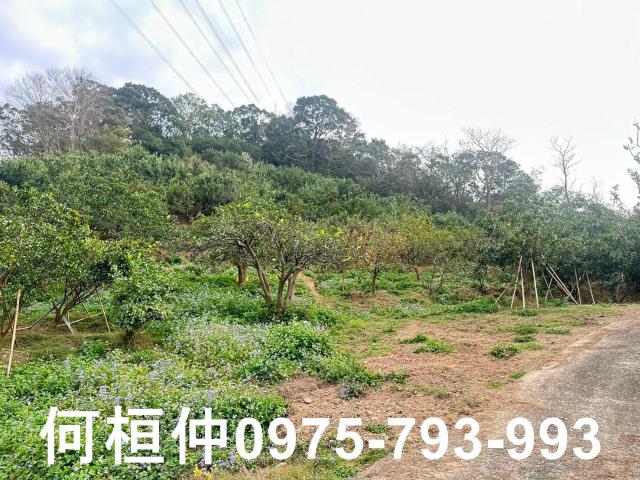 苗栗農地_建地_農地加建地-13