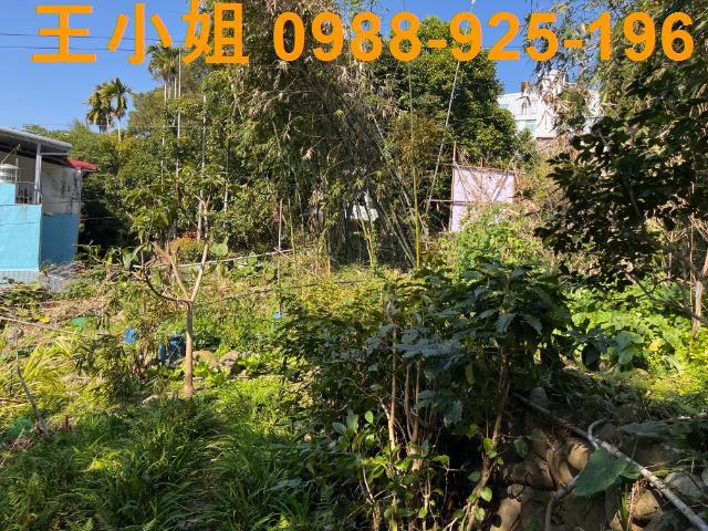 桃園大溪農地-2