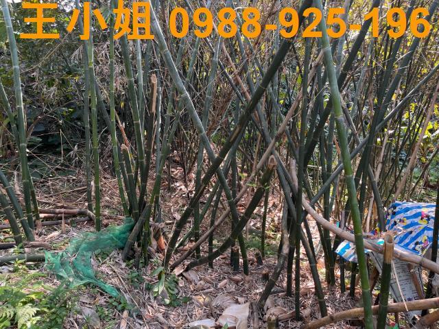 桃園大溪農地-7