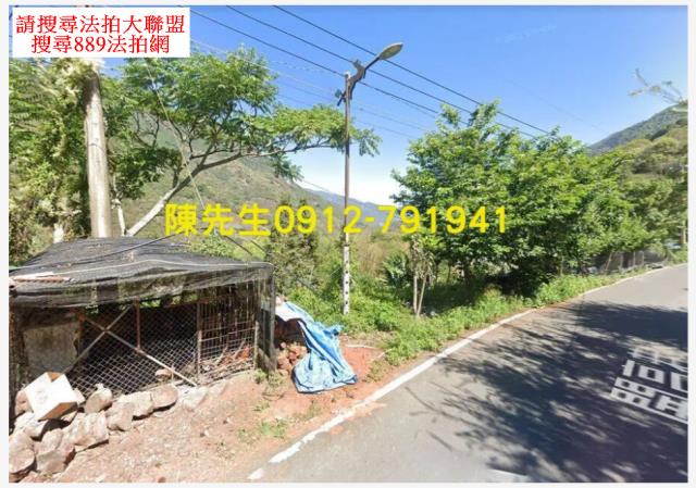 南投信義鄉原住民保留地法拍-10