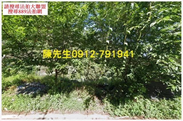 南投信義鄉原住民保留地法拍-9