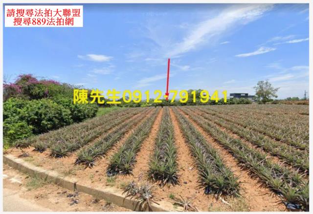 高雄大樹法拍農地-2