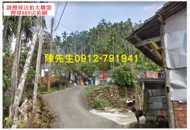 中埔法拍建地_山坡地-10