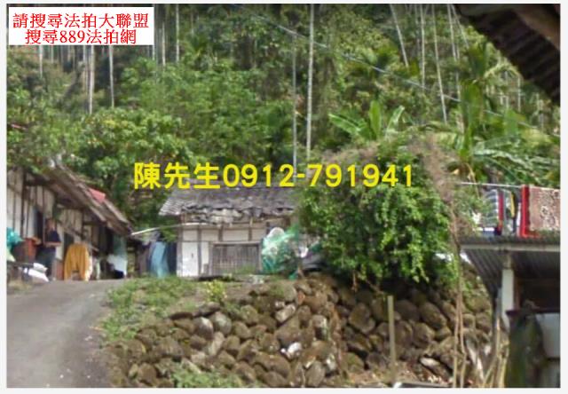 中埔法拍建地_山坡地-11