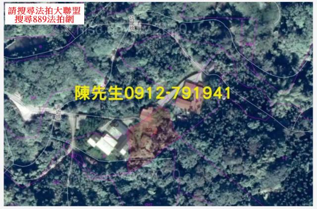 中埔法拍建地_山坡地-13
