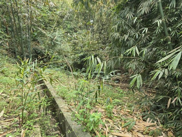 竹崎農地_山坡地-1