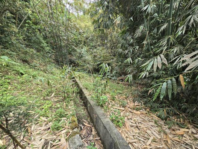 竹崎農地_山坡地-2