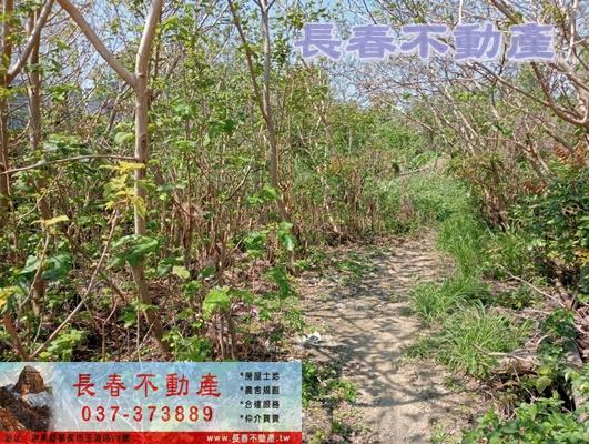 苗栗苗栗市建地_工業地-1