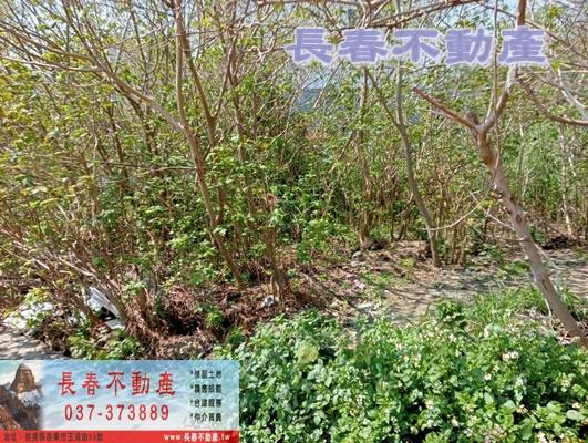 苗栗苗栗市建地_工業地-4