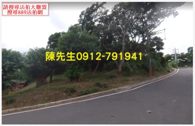 桃園桃園區法拍農地-2