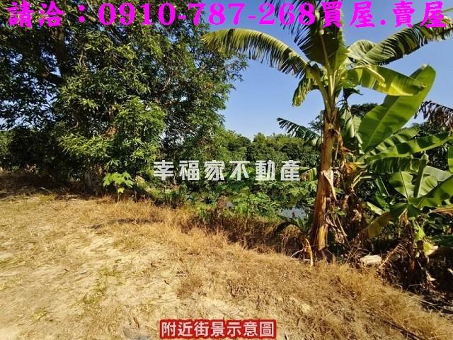 新化農地_養殖地-10