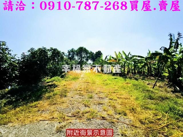 新化農地_養殖地-12