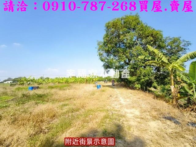 新化農地_養殖地-3