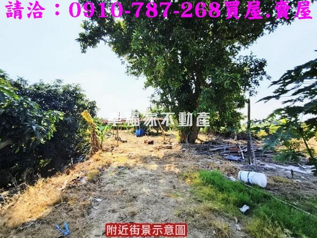 新化農地_養殖地-8