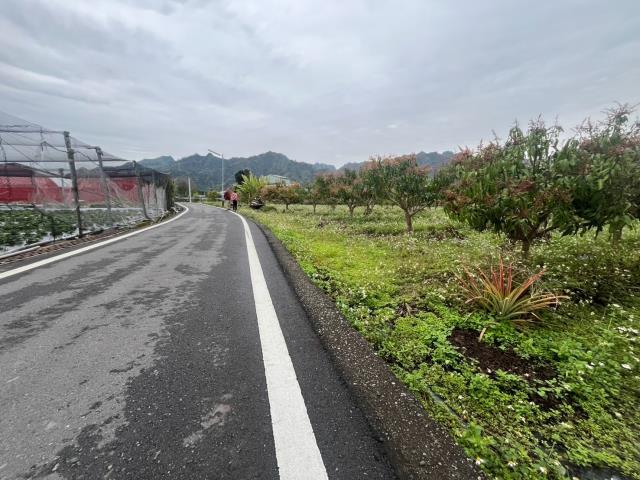 國姓農地_山坡地-1