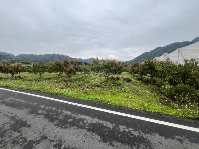 國姓農地_山坡地-4