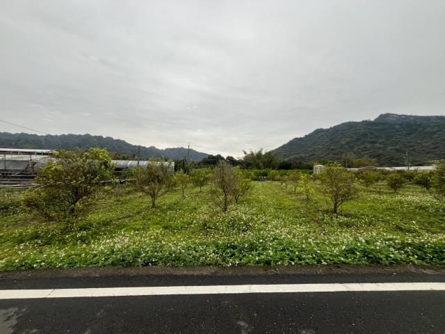 國姓農地_山坡地-7